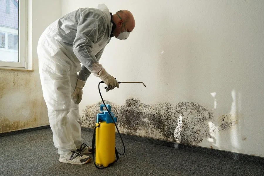 How to Remove and Prevent Musty Smells in a House: Expert Tips for a Fresh, Clean Home