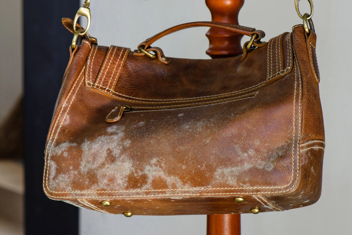 How to Get Bad Smells Out of Purses, Gym Bags, Totes, and Backpacks: Expert Cleaning Guide