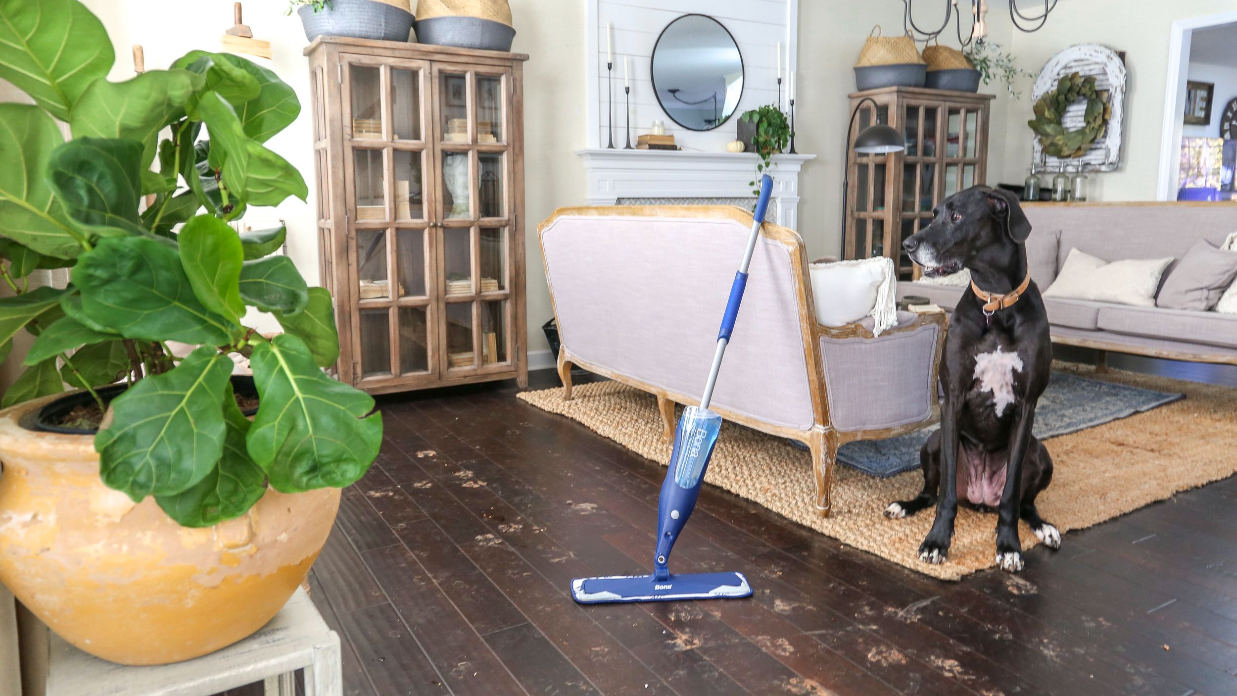 How to Keep Your House Clean With Pets: Practical Tips for a Fresh, Hygienic and Pet Friendly Home